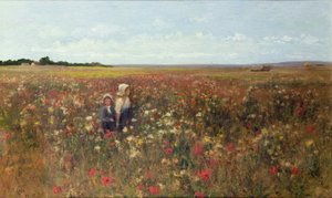 O Poppyfield, 1897